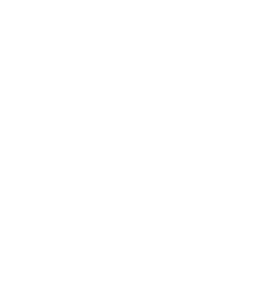 RockStar Spirits Logo