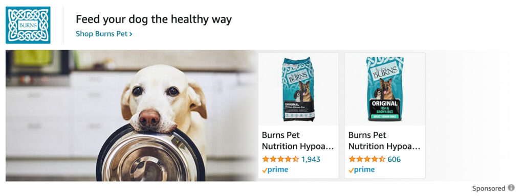 Burns Amazon Sponsored Product Listings Example